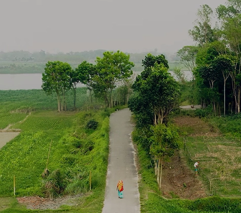 관련 캠페인 썸네일